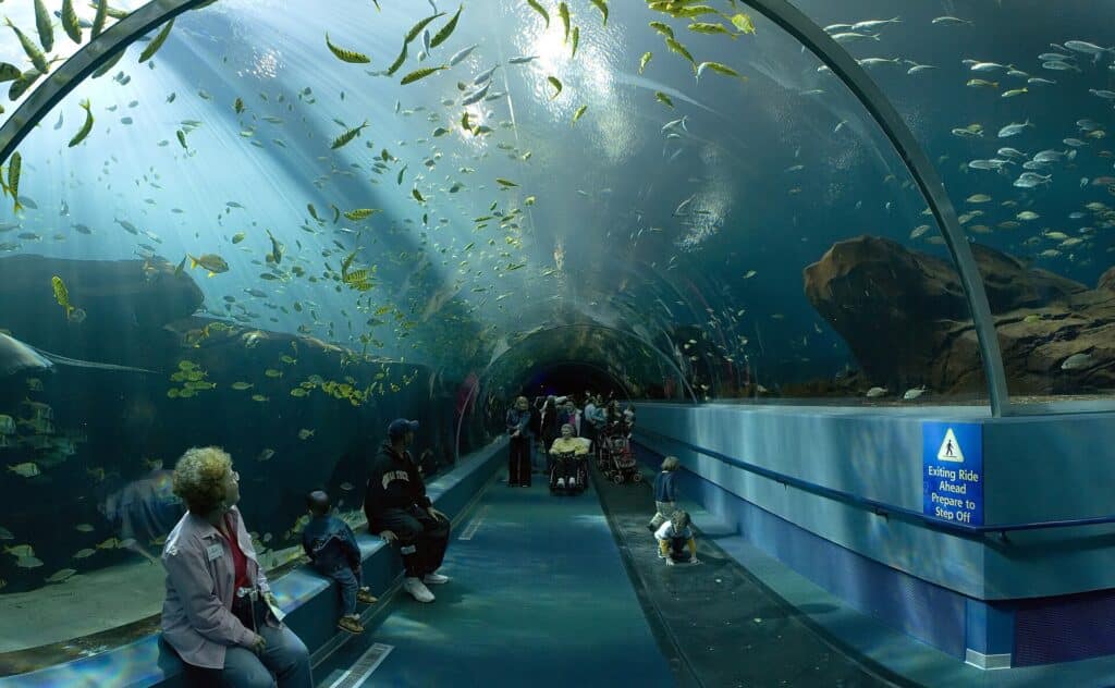 The Ocean Voyager tunnel at the Georgia Aquarium in Atlanta, Georgia